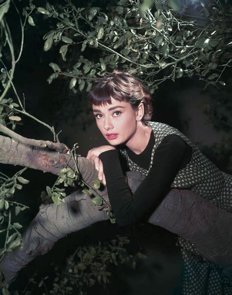 audrey hepburn in sabrina images.